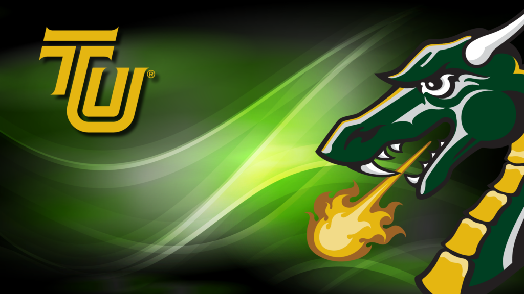 zoom background dragon fire
