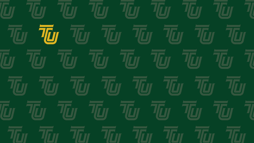 zoom background TU mark
