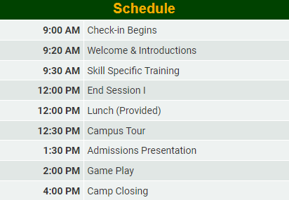 Volleyball Camps | Tiffin University
