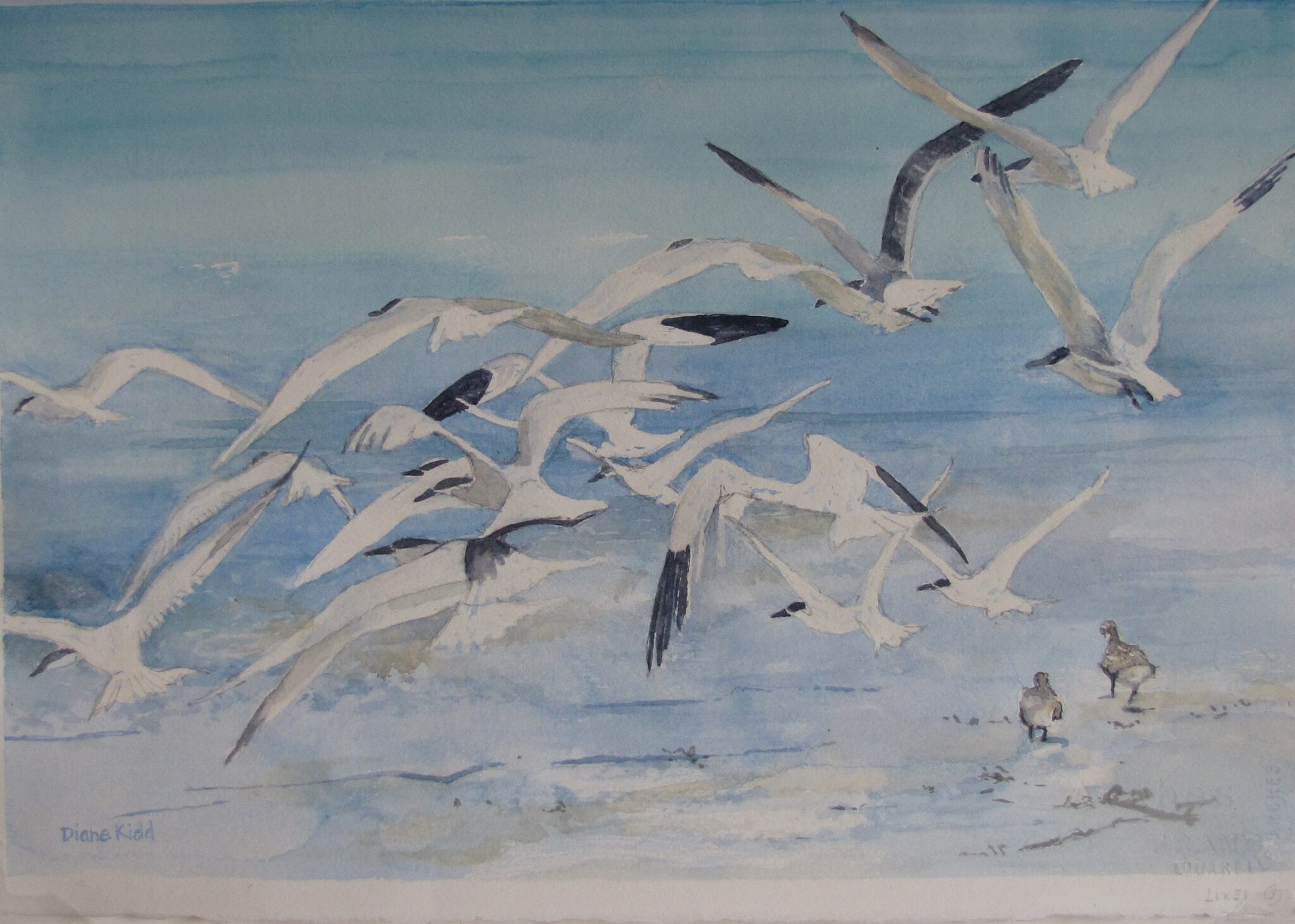 Kidd Artist Diane Kidd Gallery to Host “From Norway Pond,” Watercolor Paintings by ...