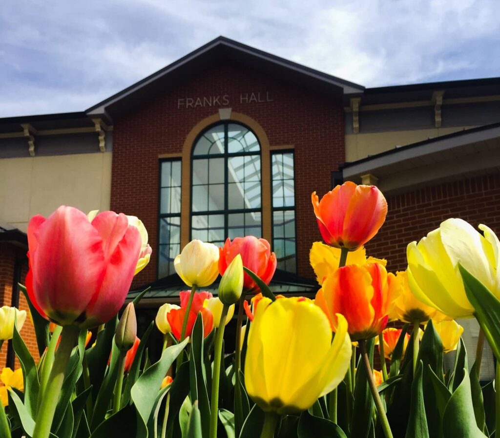 photo of franks hall with colorful tulips