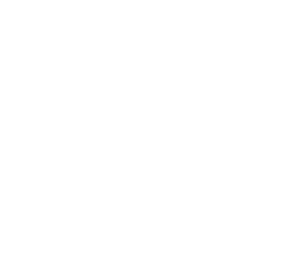 ethical hacking fellowship icon