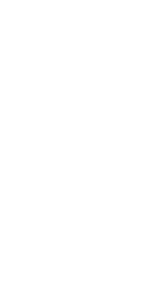 innovation fellowship logo
