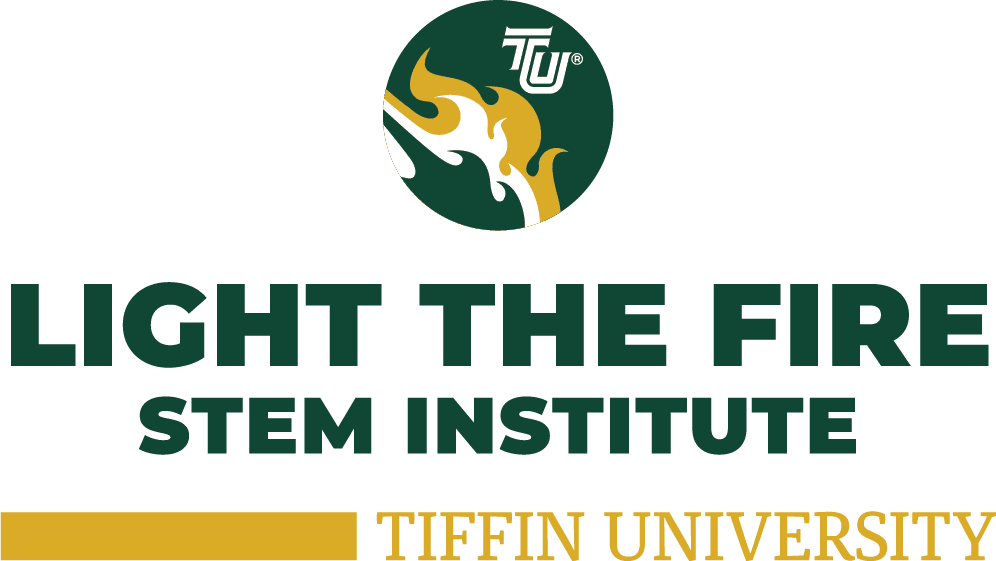 light the fire stem institute logo