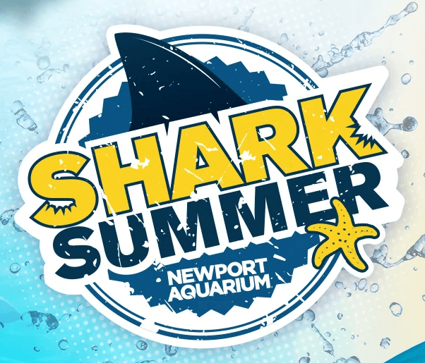 shark summer logo newport aquarium
