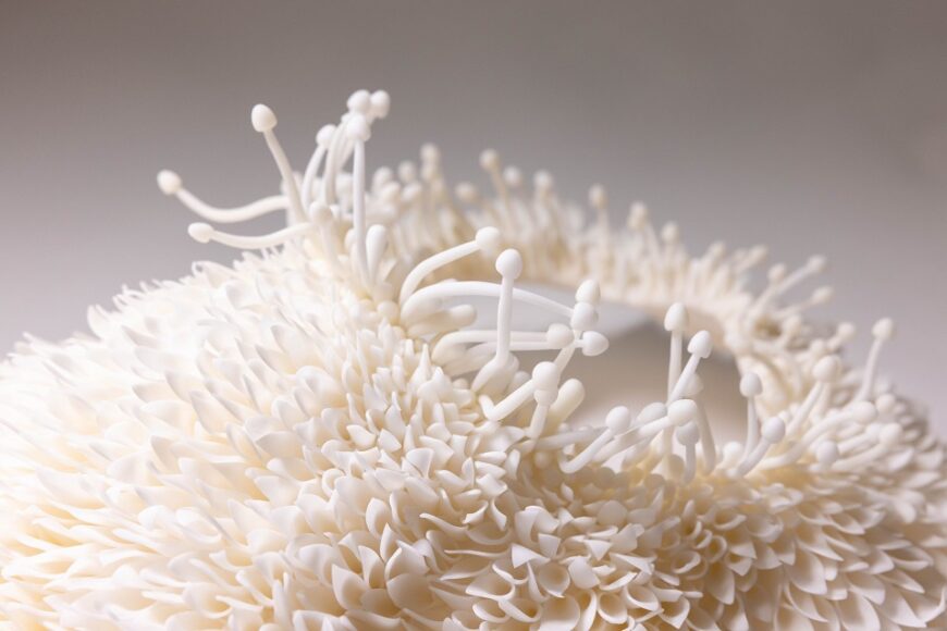 Tiffin University’s Diane Kidd Gallery to Host “Whispers of White: A Journey of Growth & Love” by Weiting Wei