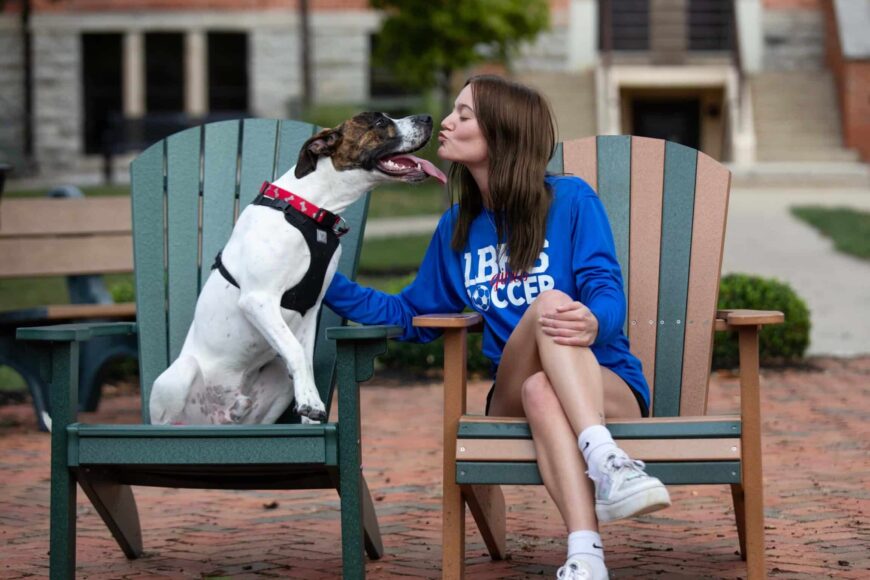 happy dog and student in chairs on campus