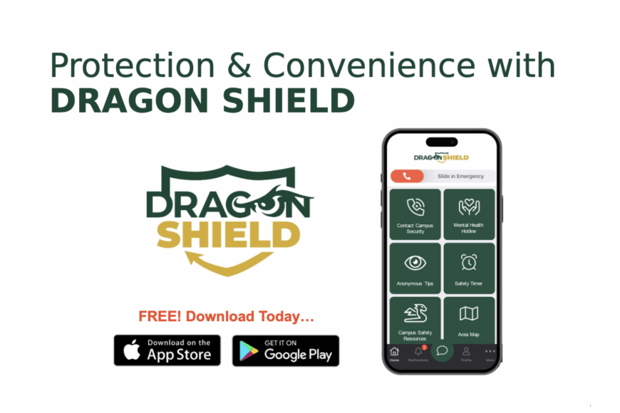 dragon shield download